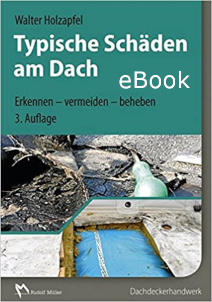 Typische Schäden am Dach - eBook